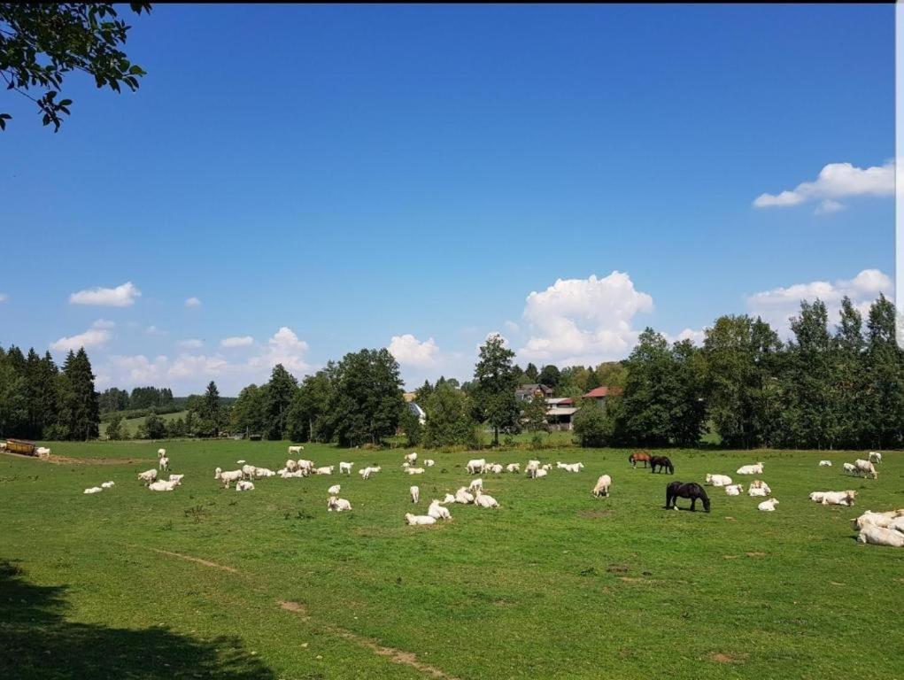 Landgasthof Gruener Baum Regnitzlosau ภายนอก รูปภาพ