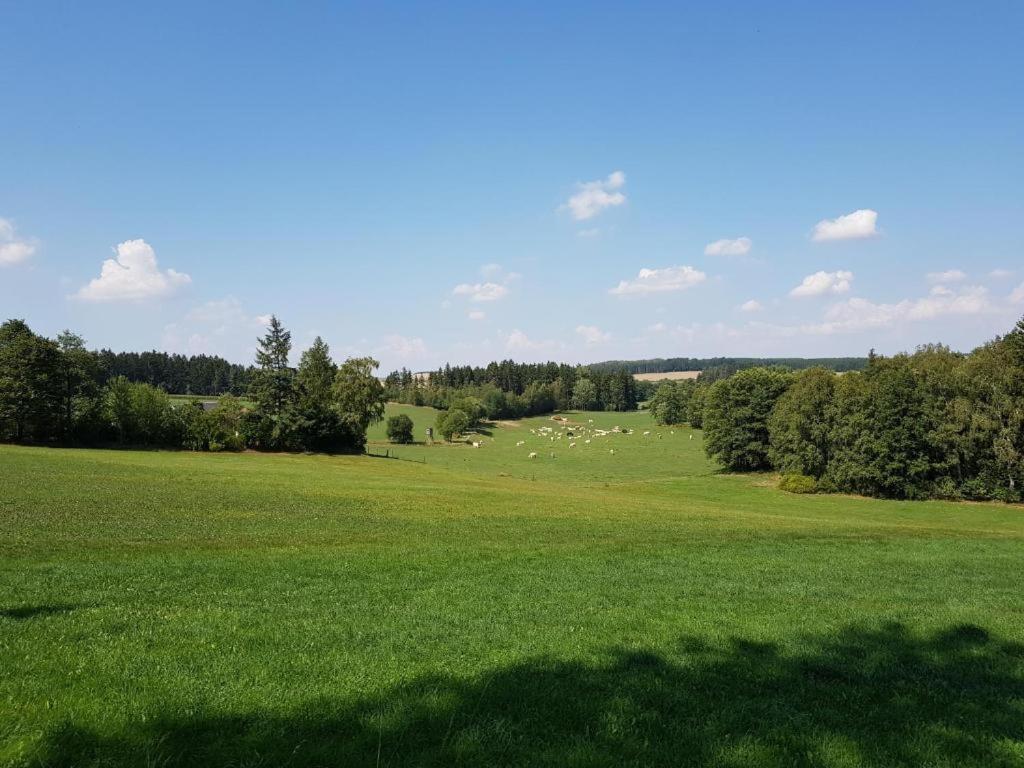 Landgasthof Gruener Baum Regnitzlosau ภายนอก รูปภาพ